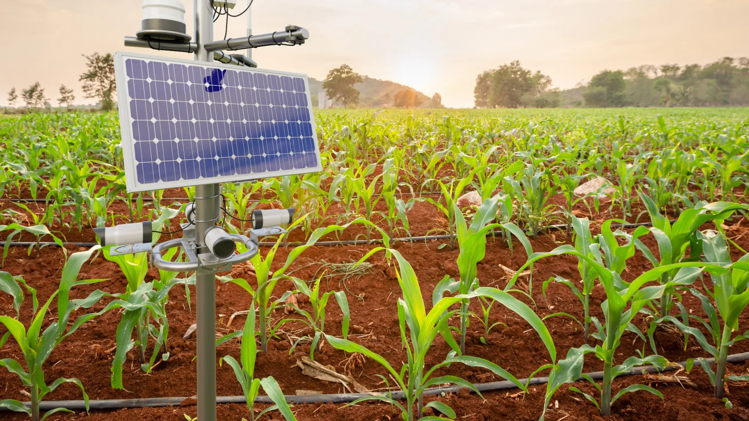 Agricultural Automation